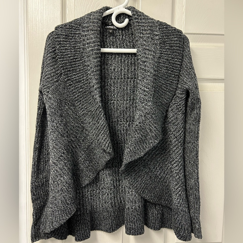 Express Cardigan Sweater